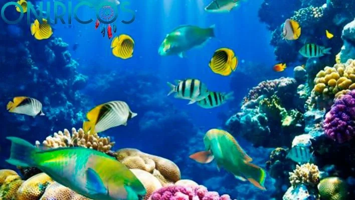 ŚNIĆ o RYBACH ✨🐠🐟 Co oznacza? Co chce powiedzieć ten sen?