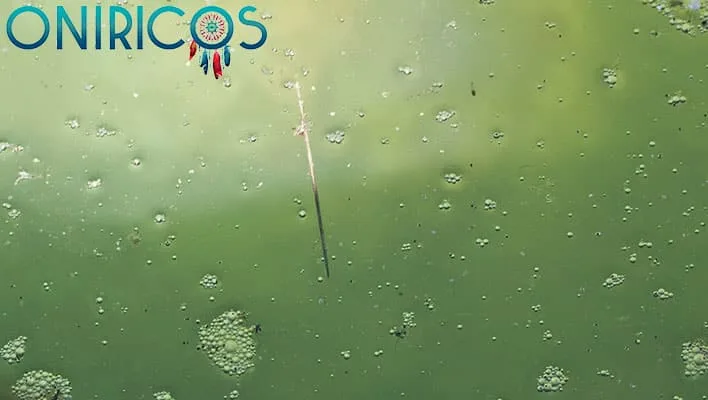 Śnić o stojącej wodzie - oniromancja