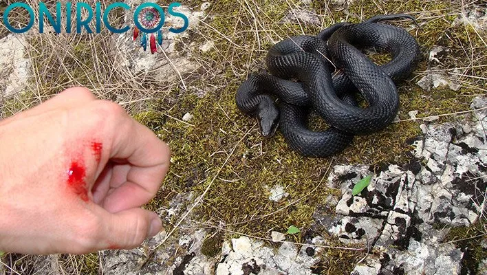 Dreaming about a snake biting you