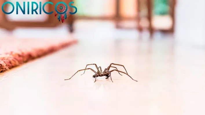 meaning of dreaming about spiders in the house