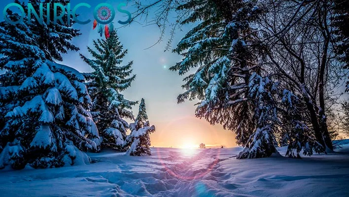 meaning of dreaming about a snowy forest