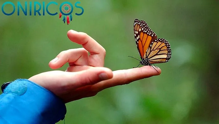 dreaming about butterflies - oneiromancy