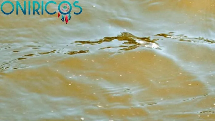 dreaming about murky water - oneiromancy