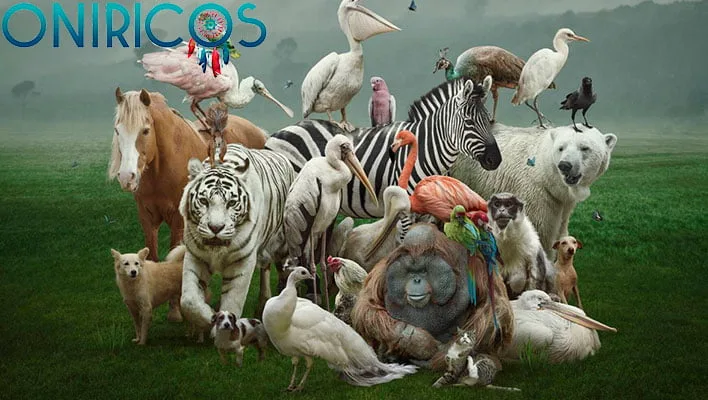 dreaming about animals - oneiromancy