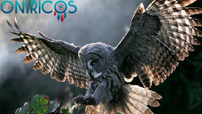 snic o sowie - oniromancja