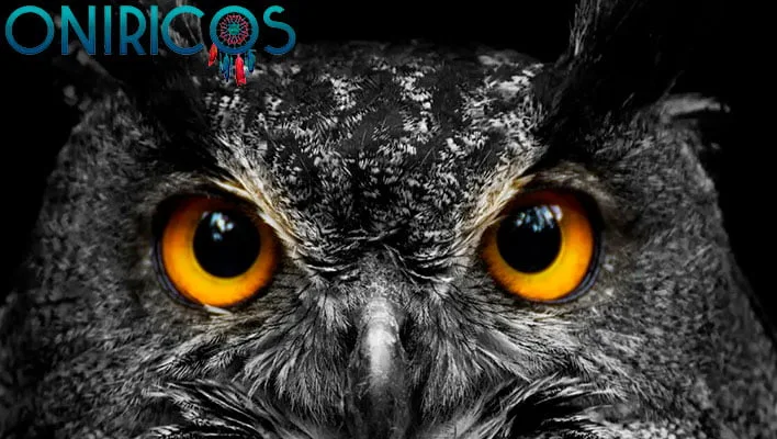 śnić o sowach - oniromancja