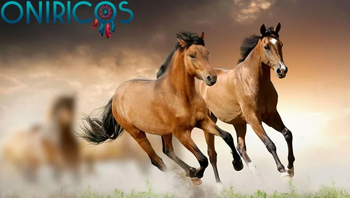 dreaming about a horse - oneiromancy