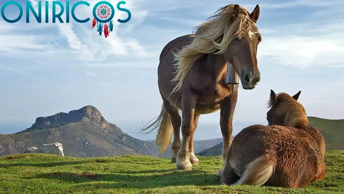 dreaming about horses - oneiromancy