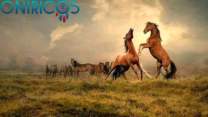 dreaming about wild horses - oneiromancy