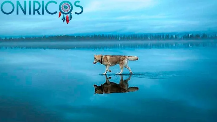 dreaming about walking on ice - oneiromancy