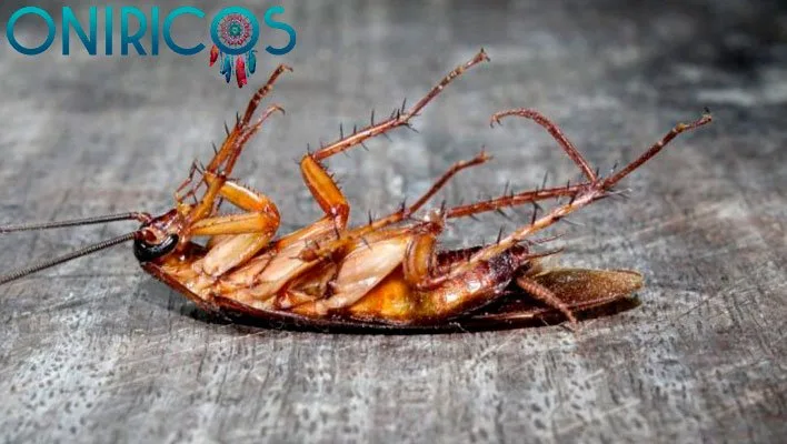 dreaming about dead cockroaches - oneiromancy