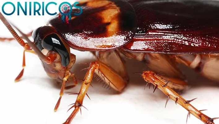 dreaming about cockroaches - oneiromancy