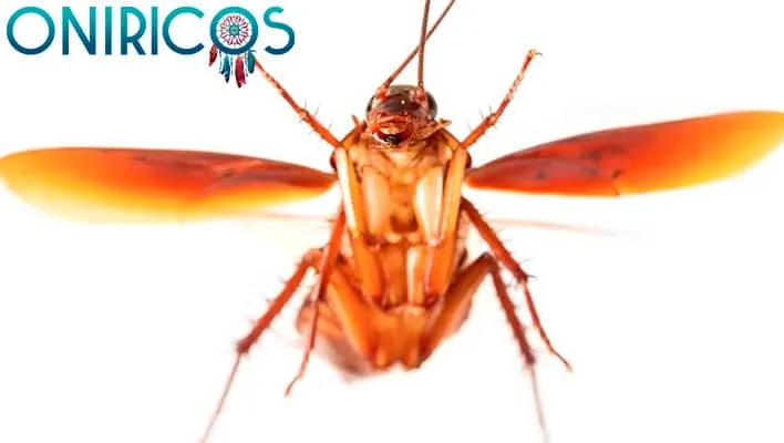 dreaming about flying cockroaches - oneiromancy