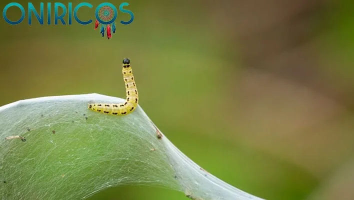 dreaming about worms - oneiromancy.jpg