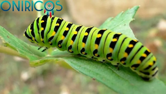 dreaming about worms - oneiromancy