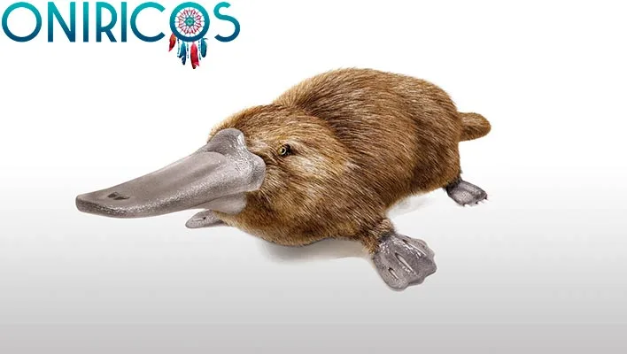 dreaming about platypuses - oneiromancy