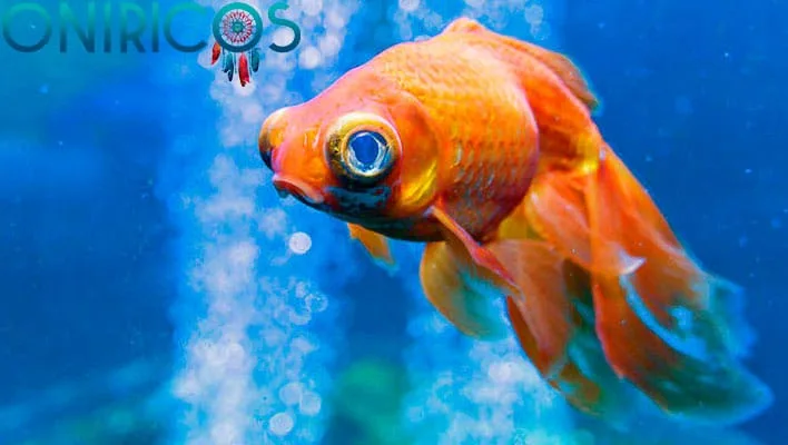 śnić o rybie - onirologia