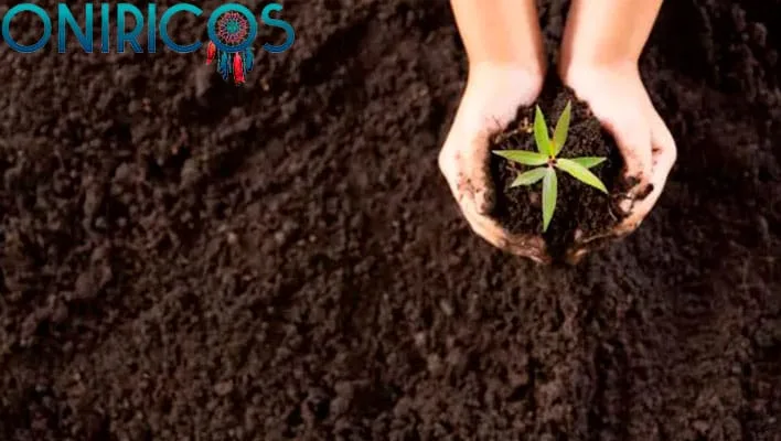 dreaming about dirt - oneiromancy