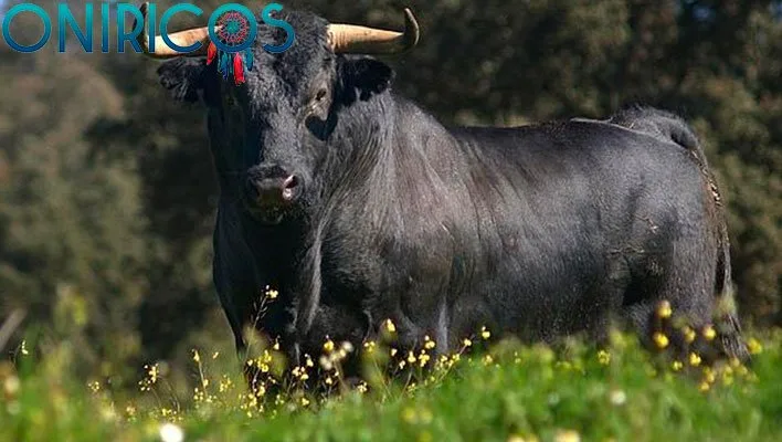 dreaming about wild bulls - oneiromancy