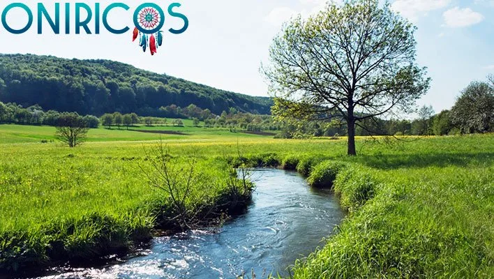 dreaming about a river with low flow - oneiromancy