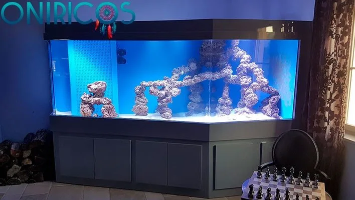 soñar con vender un acuario - oniromancia