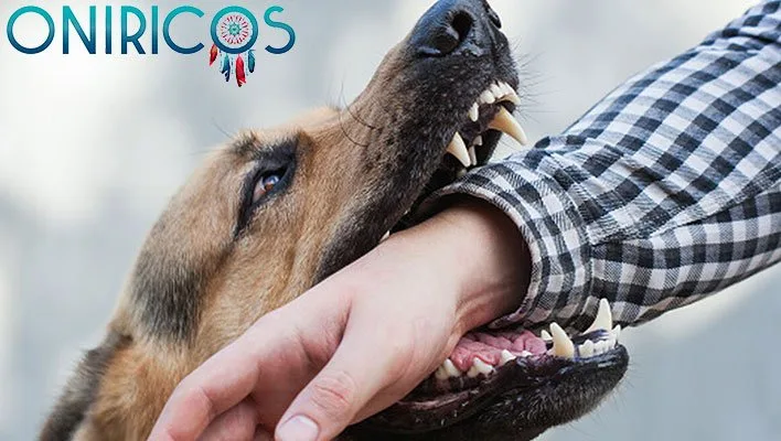 dreaming that a dog bites you - dream interpretation