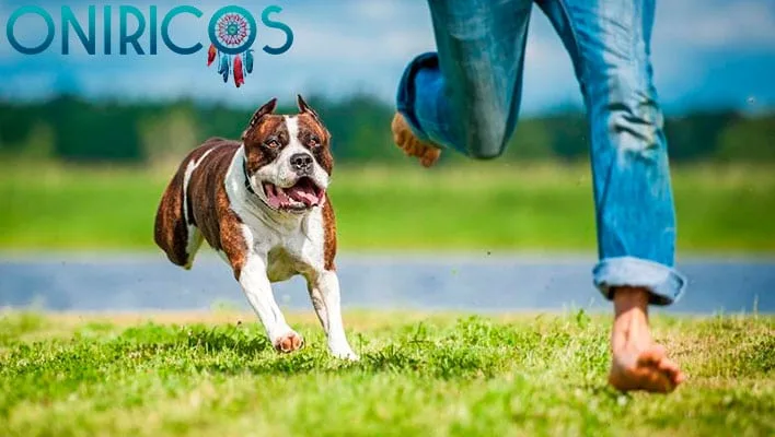 dreaming about being chased by dogs - oneiromancy