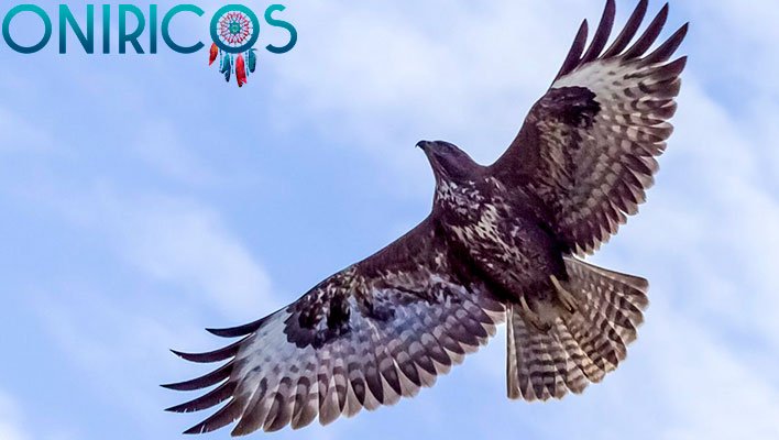 SOÑAR con AVES DE PRESA 🦅 ¿Qué Significa? ¿Qué quiere decir? 1 soñar con aves de presa - oniromancia