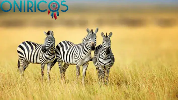 soñar con cebra - oniromancia