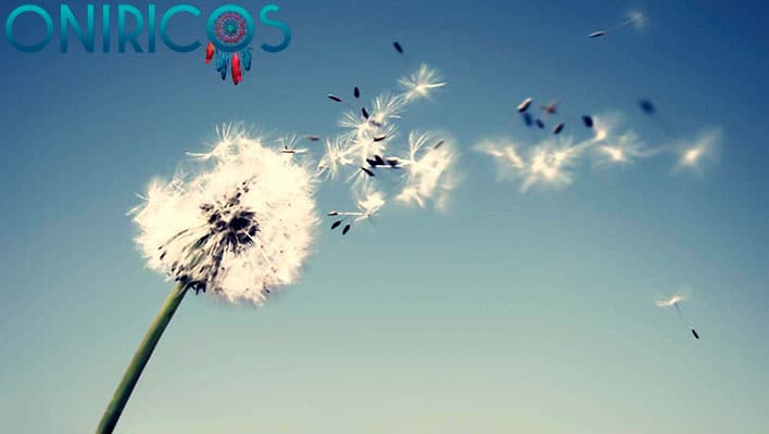 soñar con viento - oniricos