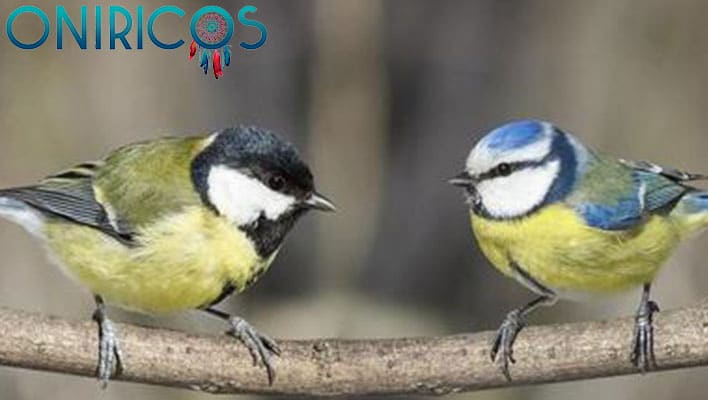 SOÑAR con PÁJAROS ✨🦅✨ ¿Qué Significa este sueño? ¿Qué quiere decir? 1 Soñar con pájaros