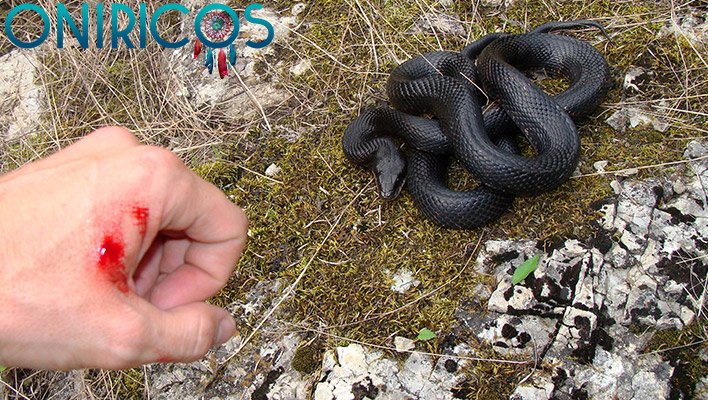 SOÑAR que te MUERDE una SERPIENTE ✨🐍✨ ¿Qué Significa? ¿Qué quiere decir este sueño? 1 Soñar que te muerde una serpiente